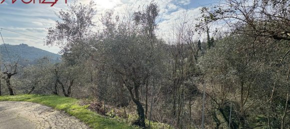 3 bedrooms House in Lucca, Italy No. 91840 33