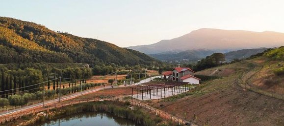 55000m² Commercial property in Perito, Italy No. 257350 2