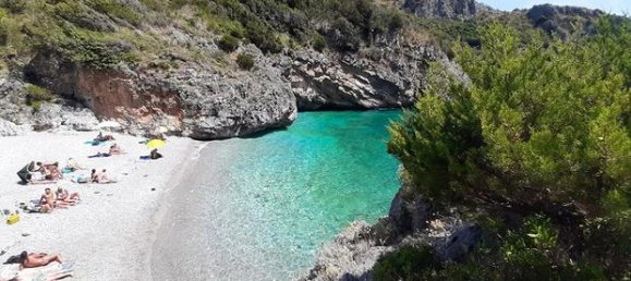 55000m² Commercial property in Perito, Italy No. 257350 4