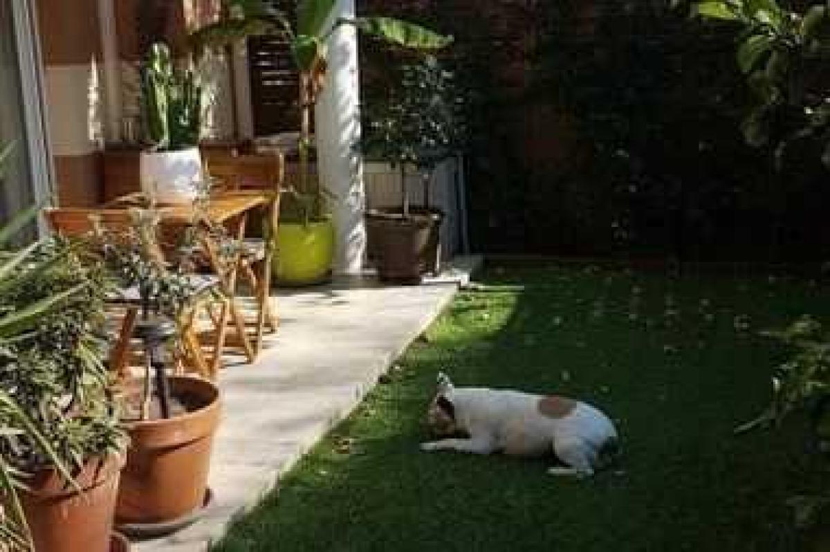 Estúdio em condomínio em Frejus, France N.º 14305