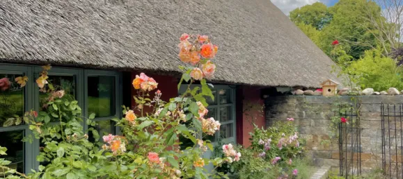 8 غرف نوم منزل في Nordwestmecklenburg, Germany رقم 191515 26