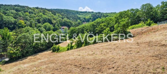 قطعة أرض في Klosterneuburg, Austria رقم 131043 3