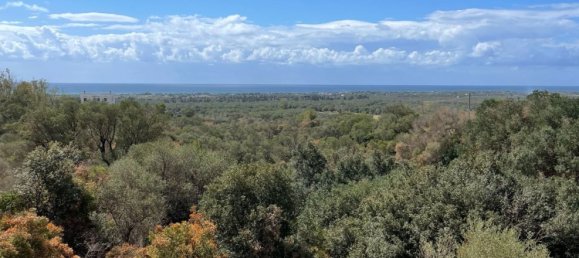 4غرفة فيلا في Manduria, Italy رقم 104467 35