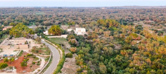 4غرفة فيلا في Manduria, Italy رقم 104467 23