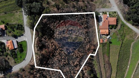 8750m² Land in Sever do Vouga, Portugal No. 76213