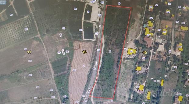 Grundstück in Palombara Sabina, Italy 13000m², Nr. 267801