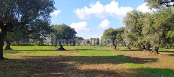 Terrain à San Vito dei Normanni, Italy 12456m² No. 126211 10