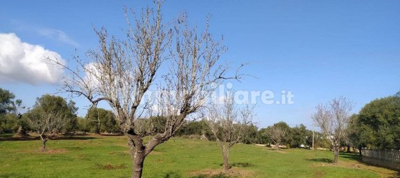 Terrain à San Vito dei Normanni, Italy 12456m² No. 126211 9