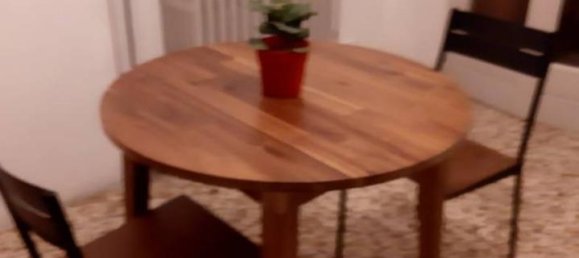 Studio in Turin, Italy No. 19749 15