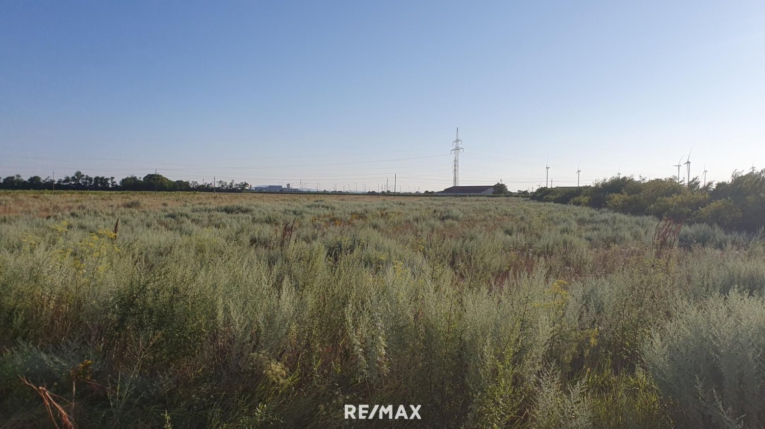  Land in Neusiedl am See, Austria No. 226884