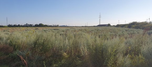  Land in Neusiedl am See, Austria No. 226884 4