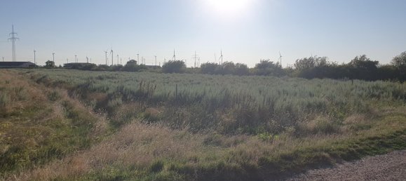  Land in Neusiedl am See, Austria No. 226884 3