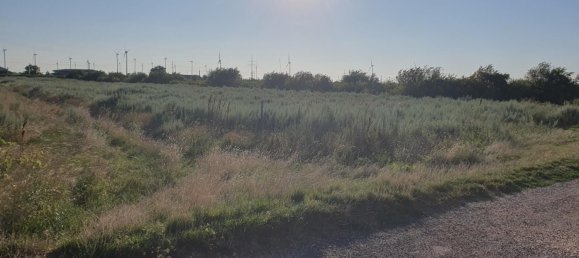  Land in Neusiedl am See, Austria No. 226884 2