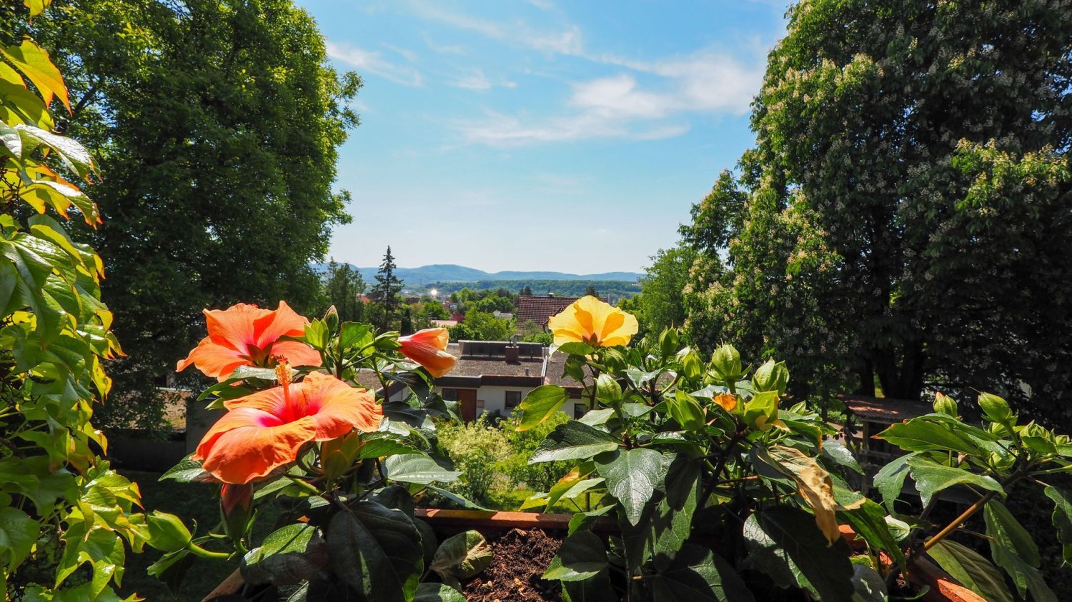 7 Schlafzimmer Stadthaus in Göppingen, Germany, Nr. 114478