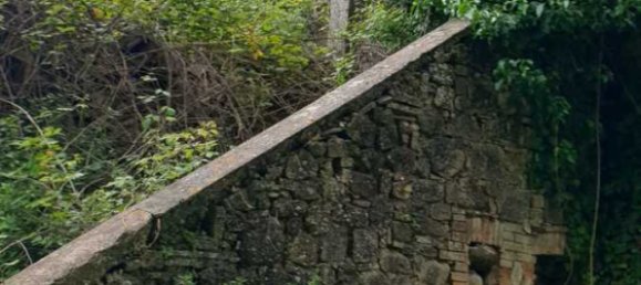 8 bedrooms House in Allerona, Italy No. 329535 9