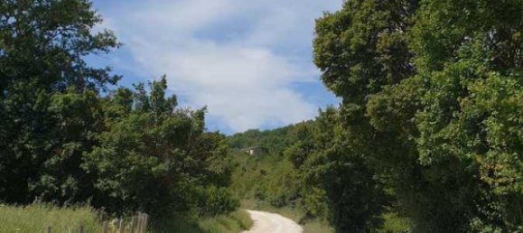 8 bedrooms House in Allerona, Italy No. 329535 7