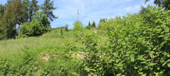 Grundstück in Raab, Austria, Nr. 49781 5