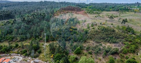 43854m² Land in Viseu, Portugal No. 53022 15