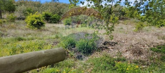 43854m² Land in Viseu, Portugal No. 53022 2