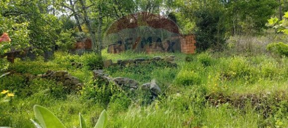 43854m² Land in Viseu, Portugal No. 53022 16