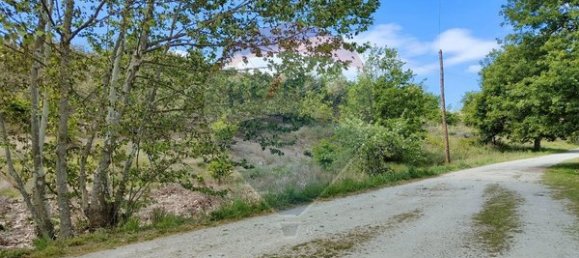 43854m² Land in Viseu, Portugal No. 53022 6