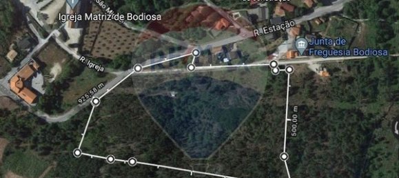 43854m² Land in Viseu, Portugal No. 53022 5
