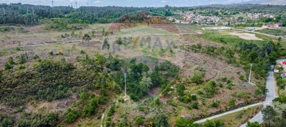 43854m² Land in Viseu, Portugal No. 53022 13