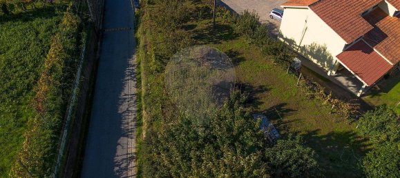 3 bedrooms House in Sao Cristovao de Nogueira, Portugal No. 169513 25