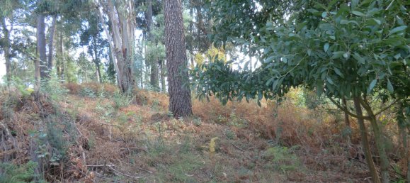 1719m² Land in Viseu, Portugal No. 69085 3