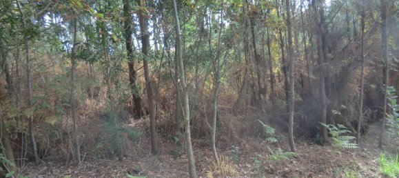 1719m² Land in Viseu, Portugal No. 69085 2