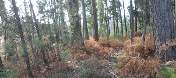 1719m² Land in Viseu, Portugal No. 69085 5