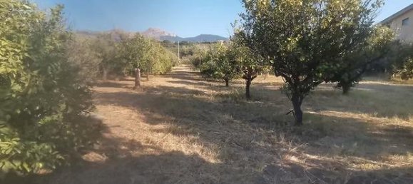 5600m² Land in Lascari, Italy No. 297581 3