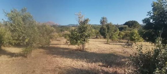 5600m² Land in Lascari, Italy No. 297581 4