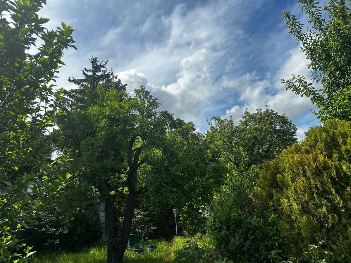 Земельный участок в Альтглиникке, Германия № 85961