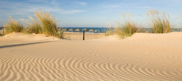 Propiedad comercial en Guardamar del Segura, Spain 52 m² No. 56323 21