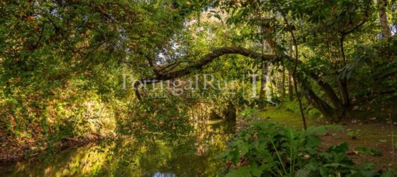6 Schlafzimmer Haus in Torres Novas, Portugal, Nr. 120400 6