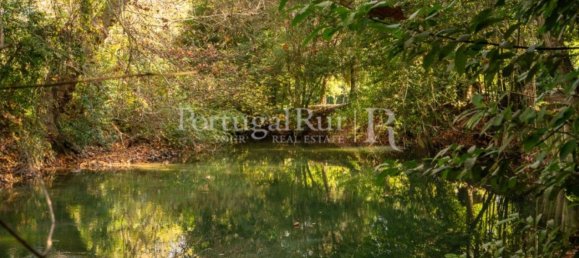 6 Schlafzimmer Haus in Torres Novas, Portugal, Nr. 120400 7