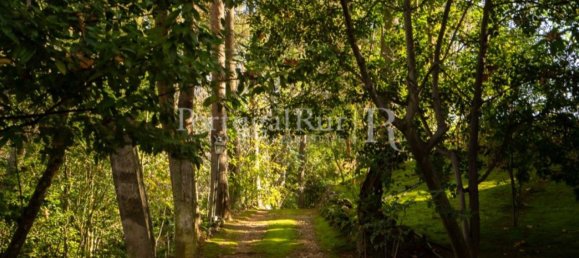 6 Schlafzimmer Haus in Torres Novas, Portugal, Nr. 120400 10