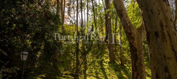 6 Schlafzimmer Haus in Torres Novas, Portugal, Nr. 120400 11