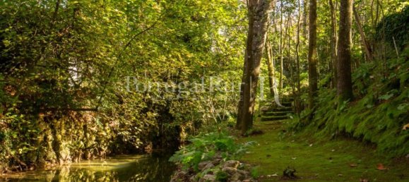 6 Schlafzimmer Haus in Torres Novas, Portugal, Nr. 120400 5
