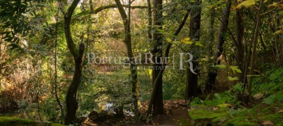 6 Schlafzimmer Haus in Torres Novas, Portugal, Nr. 120400 4