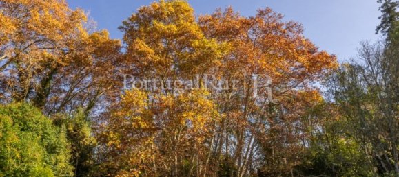 6 Schlafzimmer Haus in Torres Novas, Portugal, Nr. 120400 12