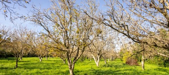 6 Schlafzimmer Haus in Torres Novas, Portugal, Nr. 120400 15