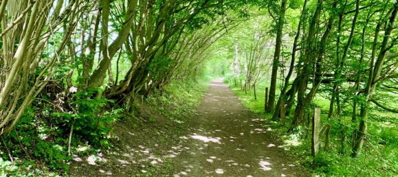 Квартира с 3 спальнями в Киль, Германия № 77328 13