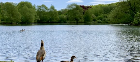 Квартира с 3 спальнями в Киль, Германия № 77328 10