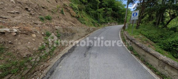 5-Zimmer Haus in Sorbo San Basile, Italy, Nr. 339944 7