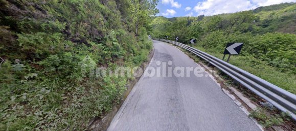 5-Zimmer Haus in Sorbo San Basile, Italy, Nr. 339944 5