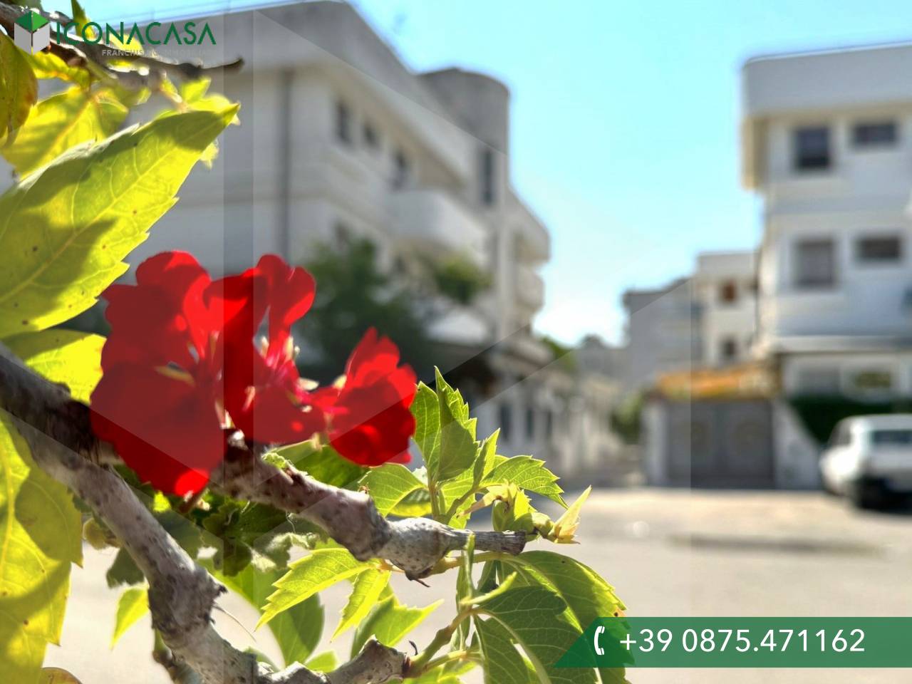 3-salle Appartement à Campomarino, Italy No. 22696