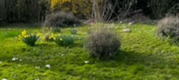 Terreno em Quincy-Voisins, France N.º 121203 2