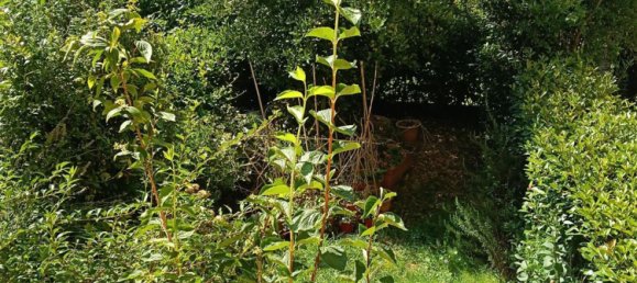 Apartamento T3 em San Marcello Piteglio, Italy N.º 322401 17